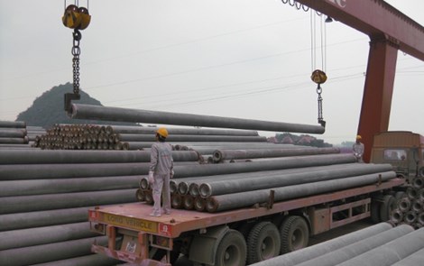 Cung cấp các loại cọc từ 250 - 500